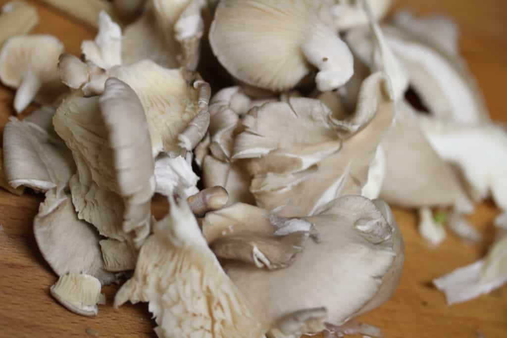 oyster mushrooms on a wooden board, close up