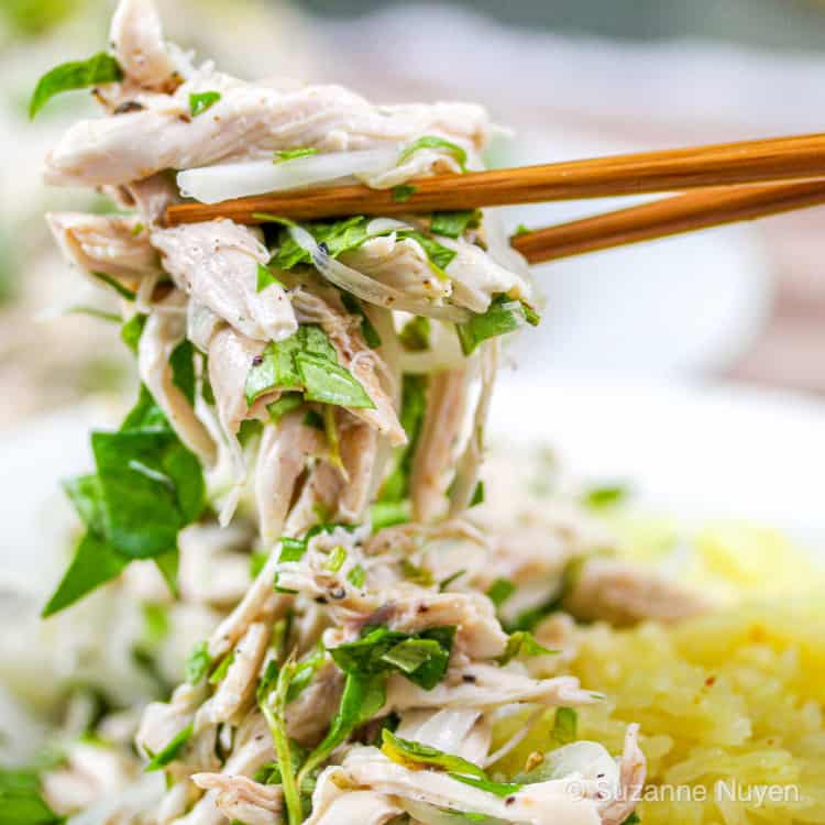 Vietnamese Chicken Salad (Gà Bóp) – Bun Bo Bae