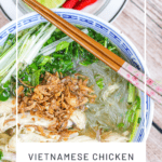 Birds eye view of bowl of noodle soup with chicken, scallion, cilantro and fried shallots