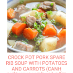 bowl of soup with pork ribs, cut up carrots and potatoes garnished with scallion